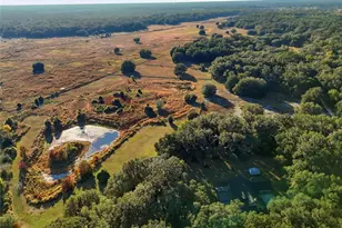 10524 SW 75th Way, Gainesville, FL 32608 - Photo 4