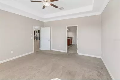 11954 Cinnamon Fern Drive, Riverview, FL 33579 - Photo 42