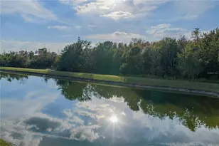 4225 Edenrock Pl, Wesley Chapel, FL 33543 - Photo 62