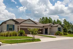 10125 Campanula Ct, Land O Lakes, FL 34637 - Photo 2