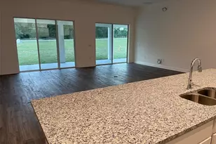 10064 Dolphin Gull Cir, Thonotosassa, FL 33592 - Photo 4