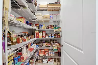 31548 Cabana Rye Avenue, San Antonio, FL 33576 - Photo 38