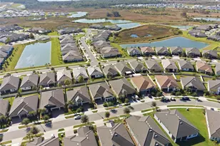 31548 Cabana Rye Ave, San Antonio, FL 33576 - Photo 98