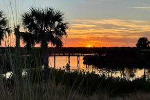 1007 NW 82nd St, Bradenton, FL 34209 - Photo 48