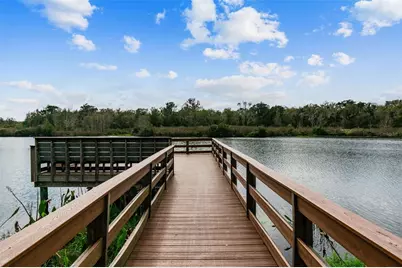 14309 Azalea Pond Court, Lithia, FL 33547 - Photo 78