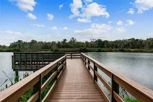 14309 Azalea Pond Ct, Lithia, FL 33547 - Photo 78