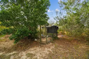 11473 Finch Rd, Brooksville, FL 34614 - Photo 50