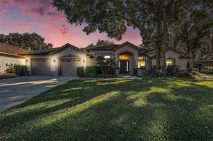 15818 Fairchild Dr, Tampa, FL 33647 - Photo 2