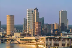 1037 Royal Pass Rd, Tampa, FL 33602 - Photo 88