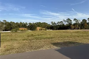 14950 Mim Pl, Dade City, FL 33525 - Photo 1