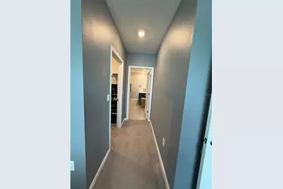 33318 Hamilton Hill Ln, Wesley Chapel, FL 33545 - Photo 16
