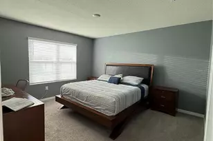 33318 Hamilton Hl Ln, Wesley Chapel, FL 33545 - Photo 12