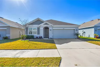 33318 Hamilton Hill Ln, Wesley Chapel, FL 33545 - Photo 1