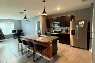 33318 Hamilton Hl Ln, Wesley Chapel, FL 33545 - Photo 8