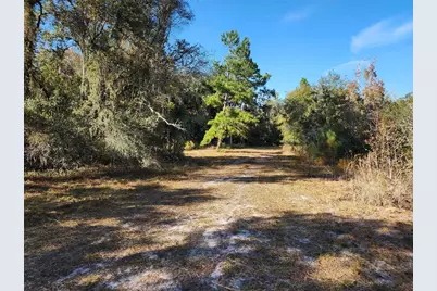 13022 E Shawnee Trail, Inverness, FL 34450 - Photo 44