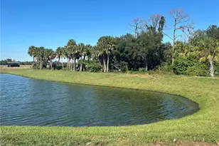 10167 Hidden Hammock Loop, Parrish, FL 34219 - Photo 32