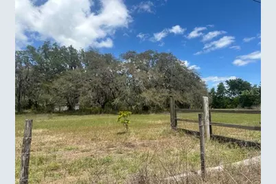 29707 Cooper Road, Wesley Chapel, FL 33545 - Photo 4