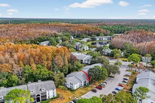 1258 Pine Ridge Cir W, Tarpon Springs, FL 34688 - Photo 36