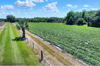 5625 Stafford Road, Plant City, FL 33565 - Photo 8
