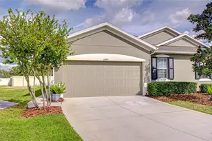 10497 Heron Hideaway Loop, Land O Lakes, FL 34638 - Photo 4