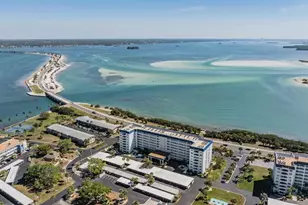 7 Elgin Pl, Dunedin, FL 34698 - Photo 46