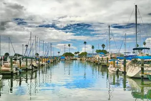 7 Elgin Pl, Dunedin, FL 34698 - Photo 60