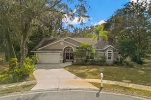 3734 Thornbush Ln, New Port Richey, FL 34655 - Photo 38