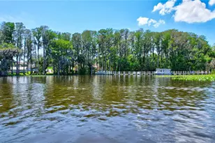 3390 Stonehaven Ct W, Palm Harbor, FL 34684 - Photo 60