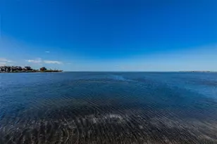 421 Windrush Bay Dr, Tarpon Springs, FL 34689 - Photo 54