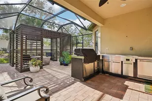 8433 Alberata Vista Dr, Tampa, FL 33647 - Photo 16