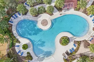 15461 Broad Brush Dr, Sun City Center, FL 33573 - Photo 46