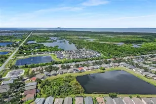 5124 Clover Mist Dr, Apollo Beach, FL 33572 - Photo 50