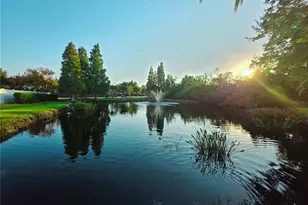 10118 Cannon Dr, Riverview, FL 33578 - Photo 74