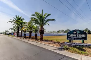 7 Drury Ln, Tarpon Springs, FL 34689 - Photo 62