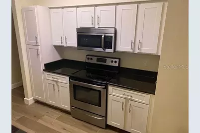1810 E Palm Avenue #1101, Tampa, FL 33605 - Photo 2