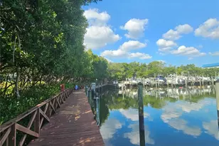 1332 Pasadena Ave S, South Pasadena, FL 33707 - Photo 42