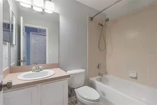 17533 Stinchar Dr, Land O Lakes, FL 34638 - Photo 44