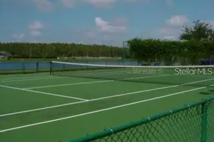 4201 Woodstorks Walk Way, Lutz, FL 33558 - Photo 12