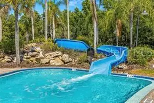 17388 Emerald Chase Dr, Tampa, FL 33647 - Photo 34