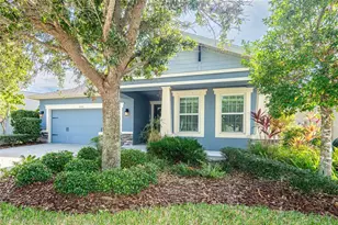 6510 Nestall Ct, Apollo Beach, FL 33572 - Photo 2