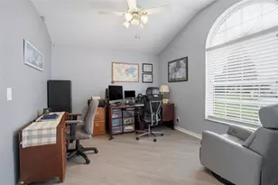 28907 Bay Tree Pl, Wesley Chapel, FL 33545 - Photo 12