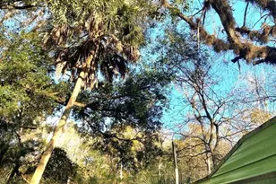 358 S Tuck, Inverness, FL 34450 - Photo 14