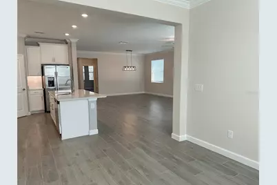 17216 Mango Shay Court, Land O Lakes, FL 34638 - Photo 36