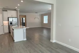 17216 Mango Shay Ct, Land O Lakes, FL 34638 - Photo 36