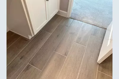 17216 Mango Shay Court, Land O Lakes, FL 34638 - Photo 52