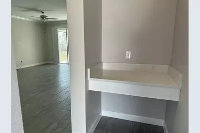 17216 Mango Shay Court, Land O Lakes, FL 34638 - Photo 24