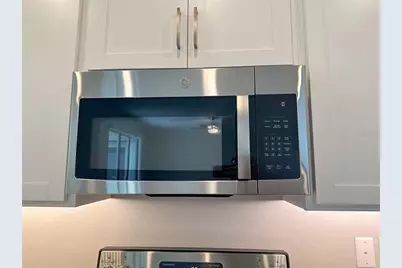 17216 Mango Shay Court, Land O Lakes, FL 34638 - Photo 12