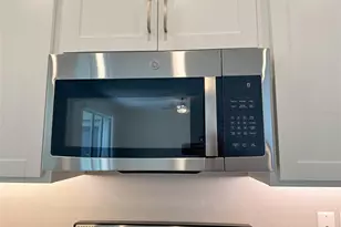 17216 Mango Shay Ct, Land O Lakes, FL 34638 - Photo 12