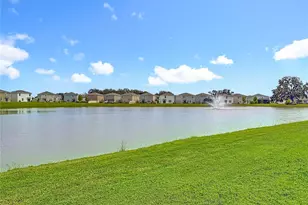 10982 Penny Gale Loop, San Antonio, FL 33576 - Photo 44