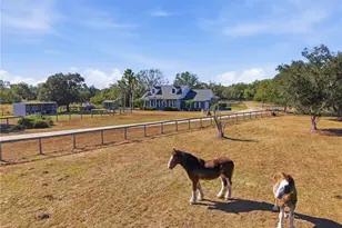 607 Butch Cassidy Trail, Wimauma, FL 33598 - Photo 44